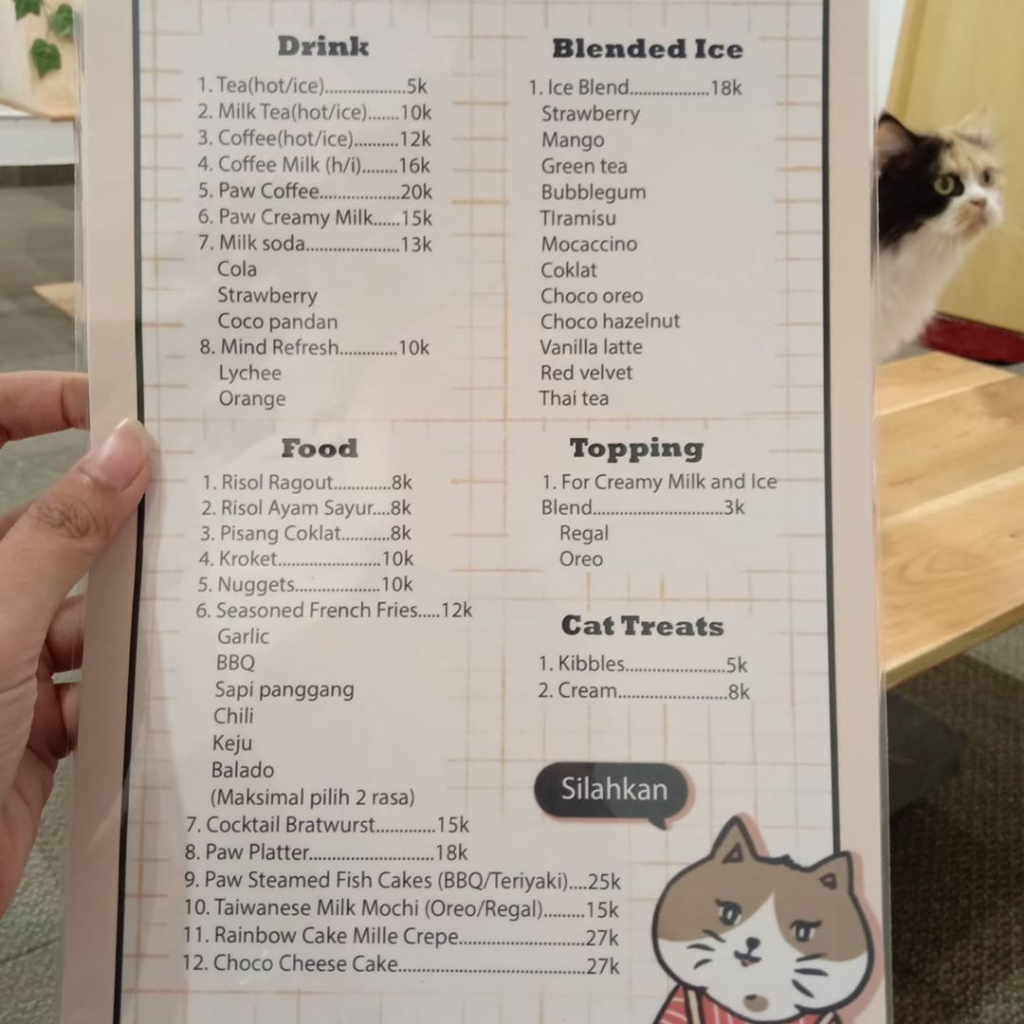 Makan Sekaligus Bermain Dengan Kucing? Bisa Banget, Ini Tempatnya!