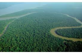 Apa Saja Hal Menakjubkan Yang Pernah Terjadi di Dunia?