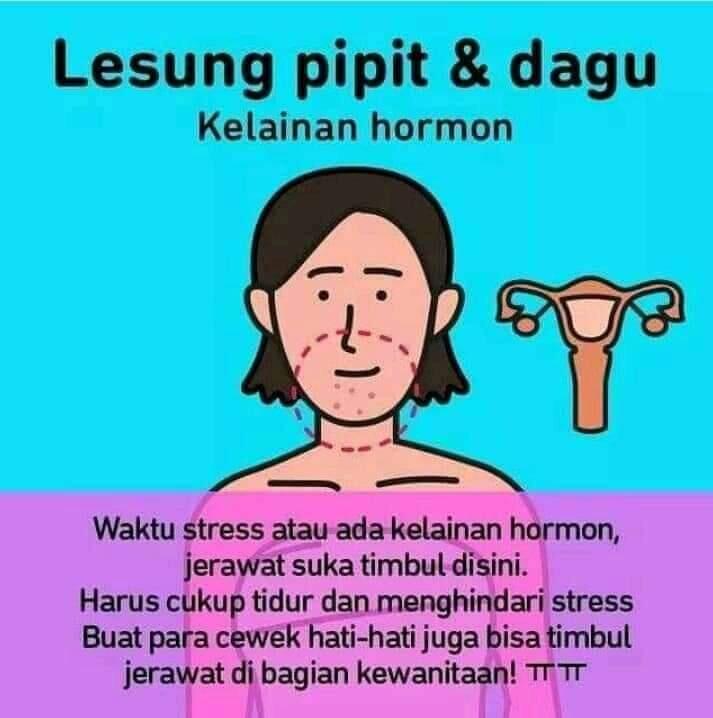 Berikut Test Kesehatan Dari Letak Jerawat
