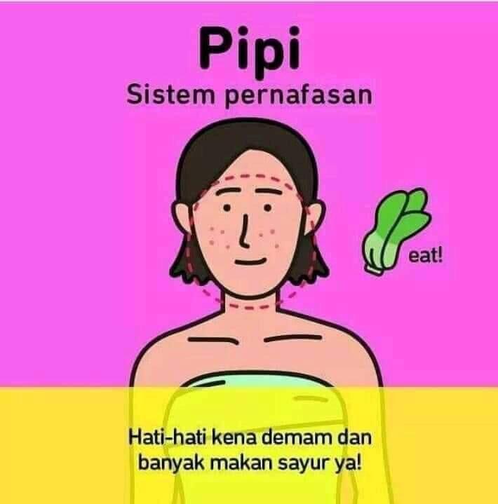 Berikut Test Kesehatan Dari Letak Jerawat
