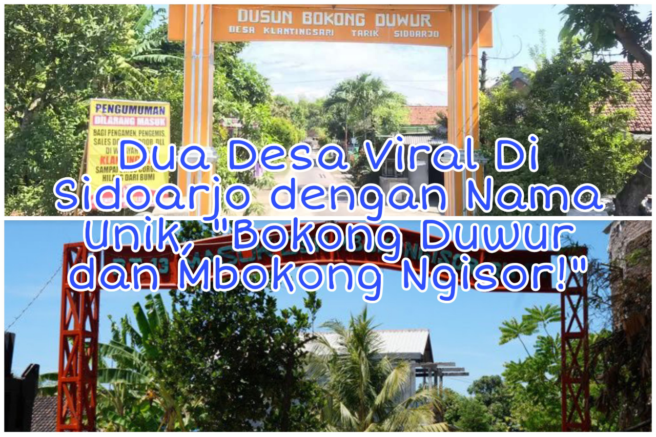 &#91;COC Reg. Sidoarjo&#93; Viral 2Dusun di Sidoarjo, &quot;Bokong Duwur dan Mbokong Ngisor!&quot;