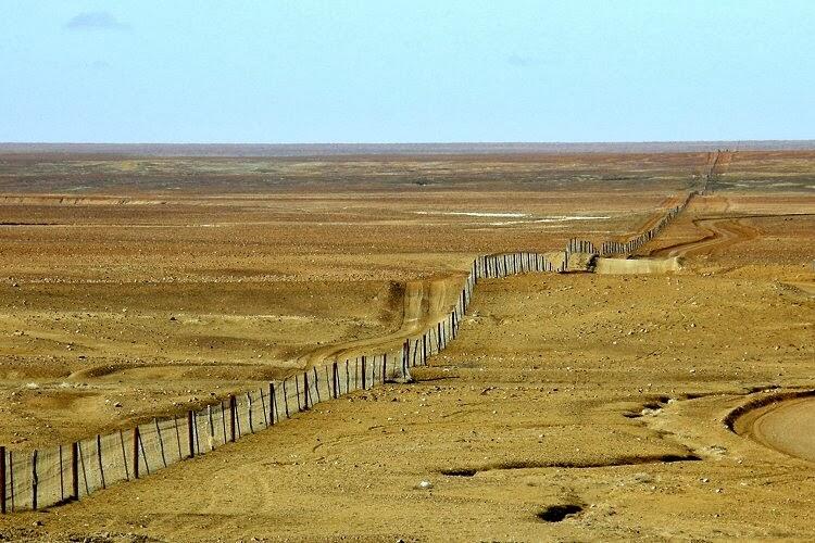 Dingo Fence! Pagar Terpanjang Di Dunia, Panjangnya 4 Kali Pulau Jawa Loh!