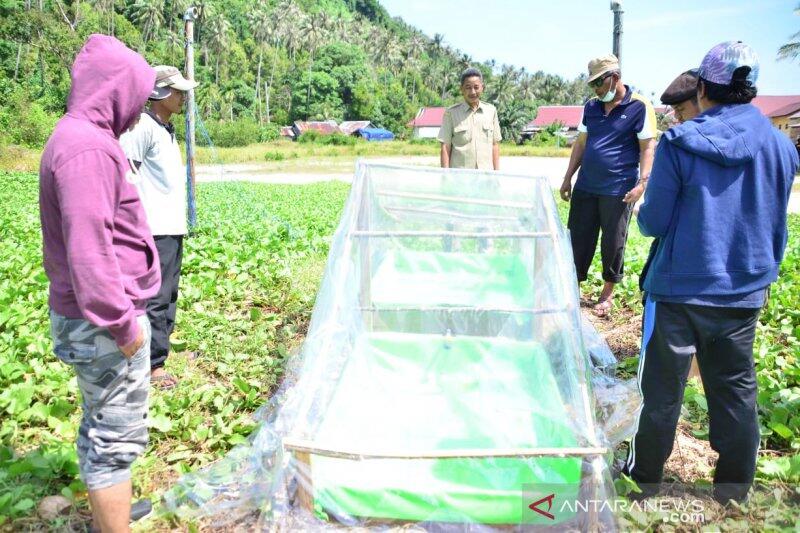 Pulau Pelapis di Kabupaten Kayong Utara Berpotensi Produksi Garam