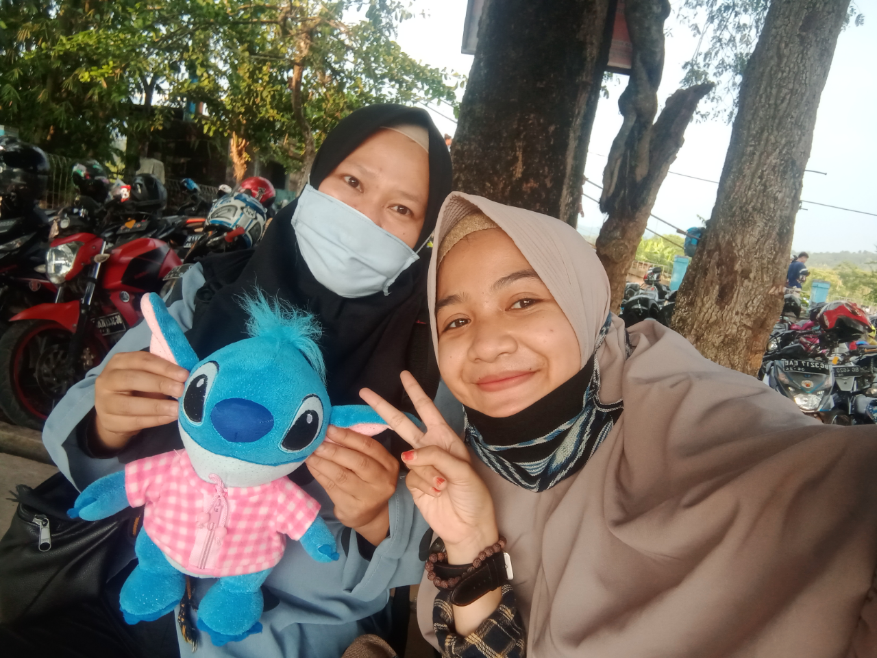 Bukit Besak Lahat 640 Mdpl