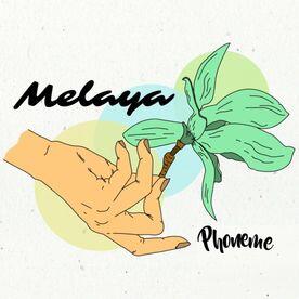 Sunya Reda Yang Menjadi Makna