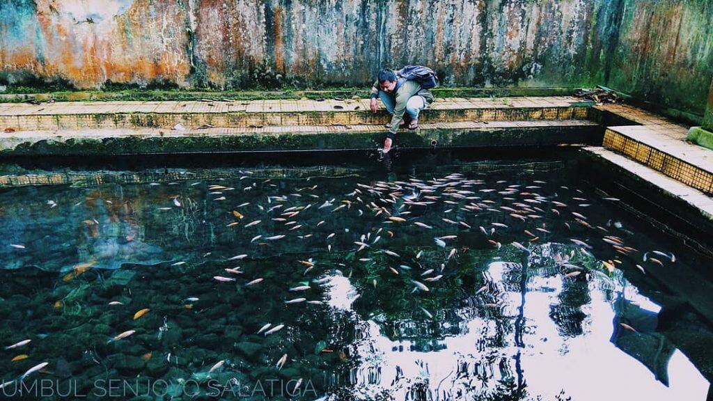 &#91;Coc Reg. Semarang&#93; Sendang Senjoyo Memiliki Berkah Wisata Alam Semarang 