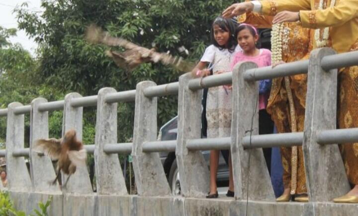 Benarkah Tradisi &quot;Buang ayam&quot; Bisa Mencegah Aral Saat Hajatan Pengantin?