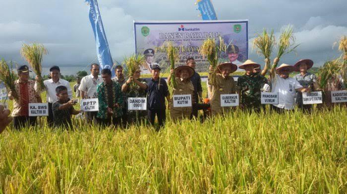Kenapa DPR Tidak Mengeluarkan UU Cipta Tani?