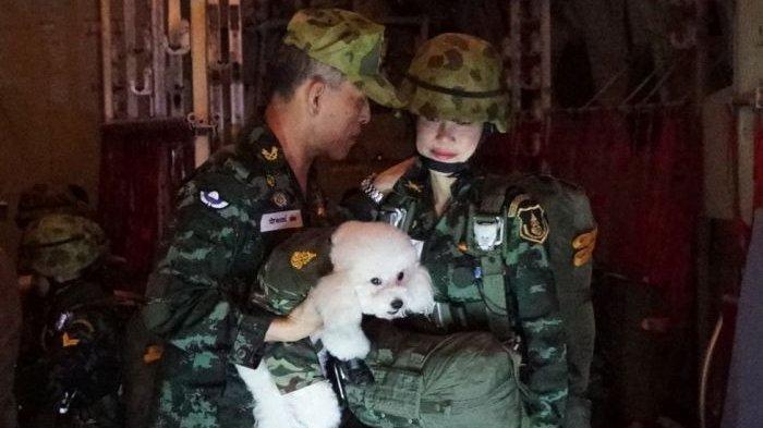 Kena Batunya, Jerman Bereaksi Keras dan Ultimatum Raja Thailand, Berkat .............