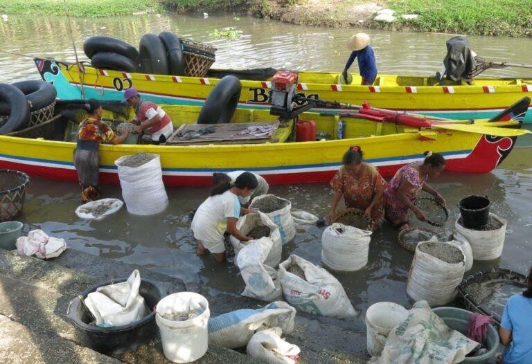 &#91;Coc Reg. Sidoarjo&#93; Uniknya Kampung Nelayan Kupang Balongdowo Di Sidoarjo