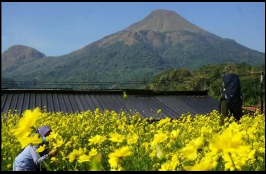 &#91;Coc Reg. Mojokerto&#93;Taman Bunga Refugia, Wisata Alam Instagramable di Mojokerto

