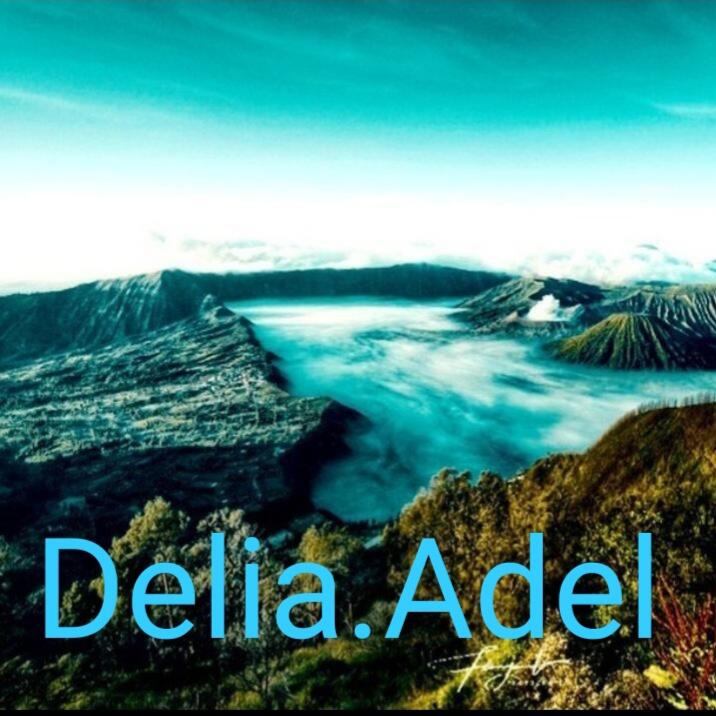 &#91;Coc Req.Bromo&#93; Ajang Wisata Menguntungkan Beserta Kisah Disebaliknya Upacaranya
