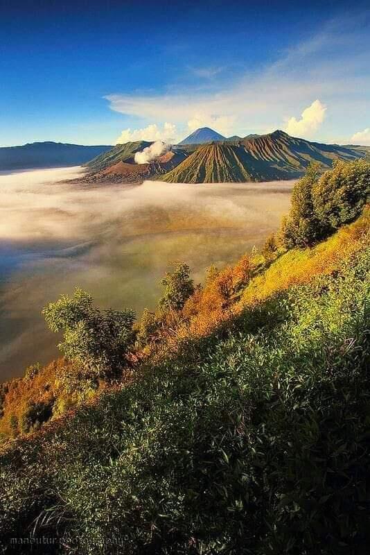 &#91;COC Reg.Bromo&#93; Kisah Cinta Roro Anteng dan Joko Seger Yang Melenda