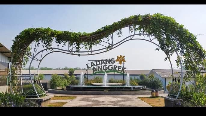 &#91;COC Reg.Mojokerto&#93; Ladang Anggrek, Taman Anggrek yang Viral di Mojokerto 
