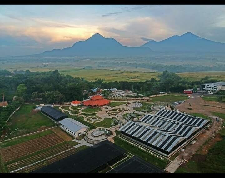 &#91;COC Reg.Mojokerto&#93; Ladang Anggrek, Taman Anggrek yang Viral di Mojokerto 