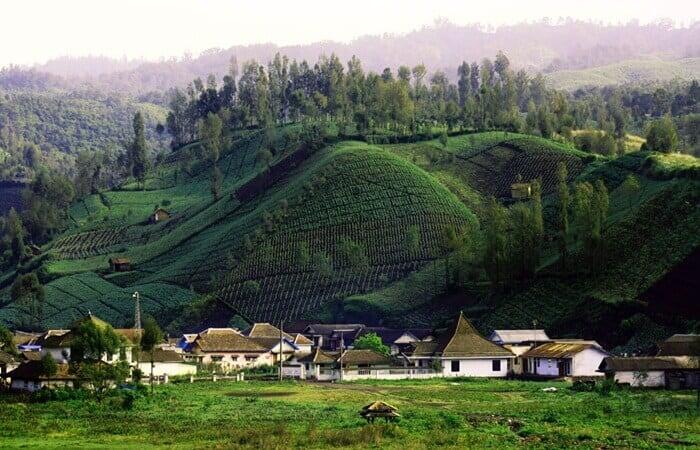 &#91;COC Reg. Bromo&#93; Desa Tertinggi di Indonesia hingga Fenomena Embun Es, Amazing Bromo!