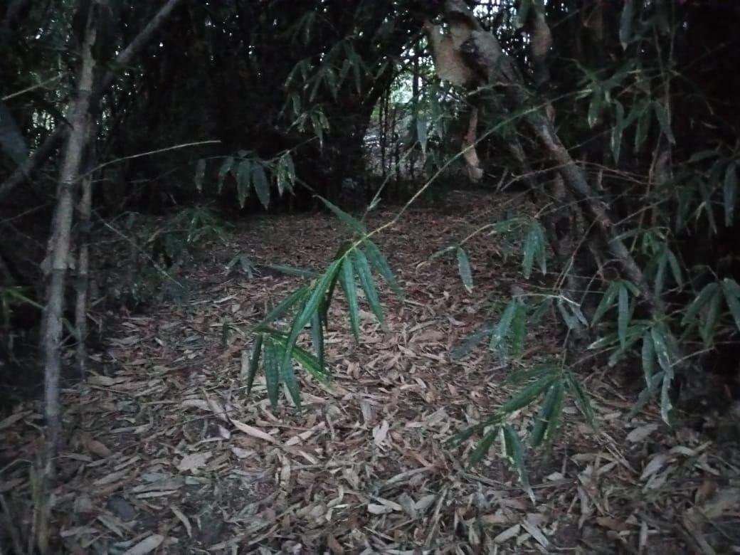 Ibu Ketempelan Makhluk Tak Kasat Mata dari Sungai Belakang Rumah