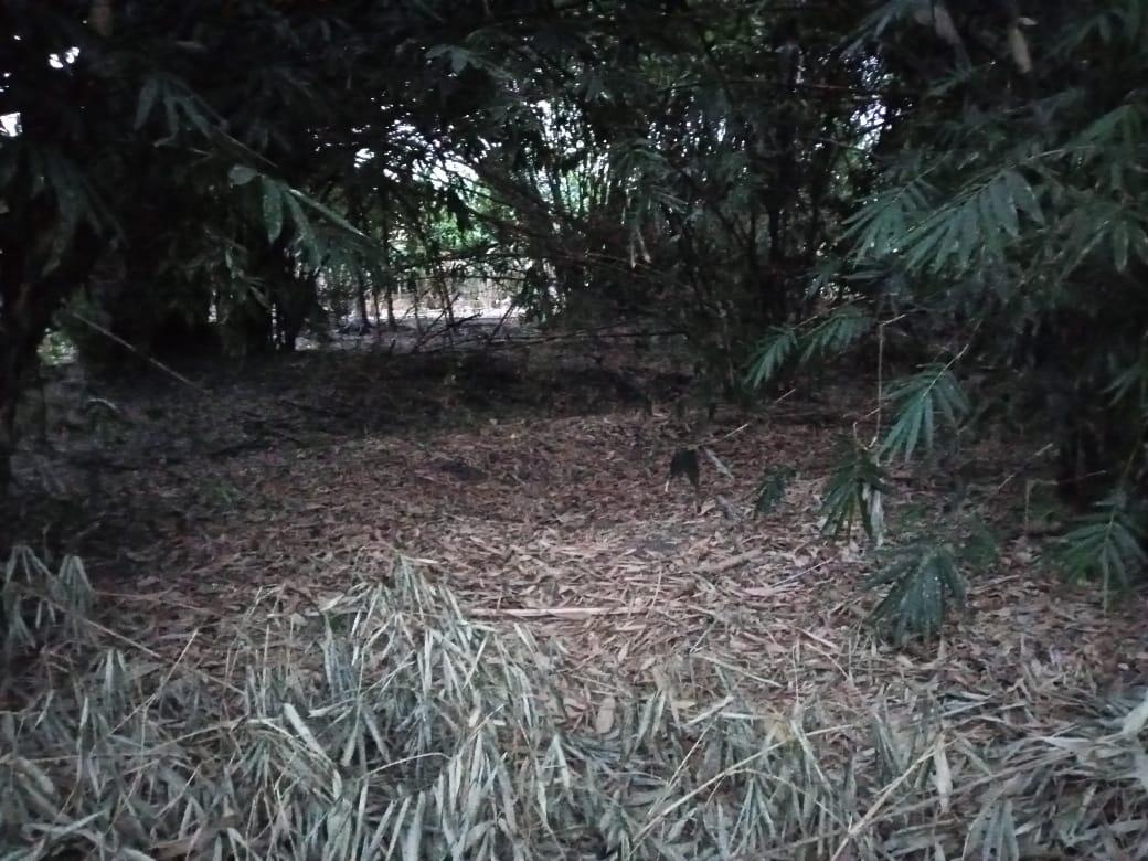 Ibu Ketempelan Makhluk Tak Kasat Mata dari Sungai Belakang Rumah