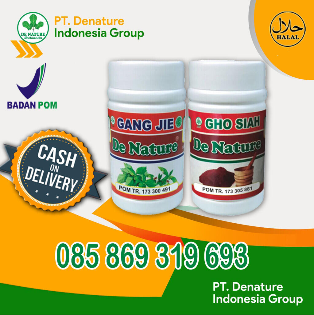 Manfaat Daun Kumis Kucing, Sambiloto Untuk Obat Sifilis dan Gonore