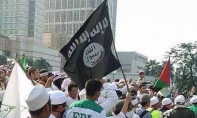 Dubes RI Ungkap Bahaya Diksi 'Tsaurah' dari FPI: Bisa Bermakna Kudeta