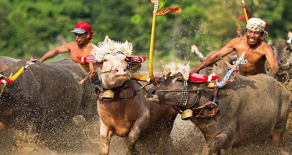 &#91;COC Reg. Bali&#93; 8 Keunikan yang Menjadi Ciri Khas Tradisi dan Budaya Pulau Bali