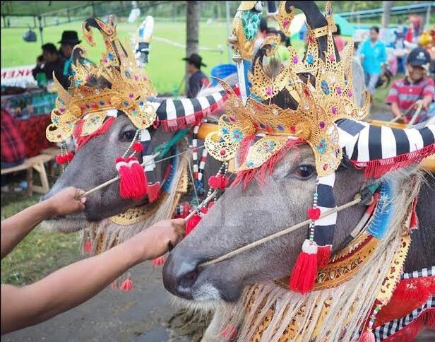 &#91;COC Reg. Bali&#93; 8 Keunikan yang Menjadi Ciri Khas Tradisi dan Budaya Pulau Bali