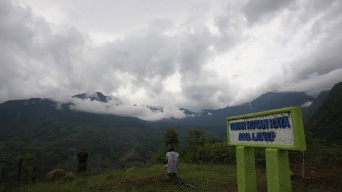 Pengalaman Mistis di Taman Hutan Raya