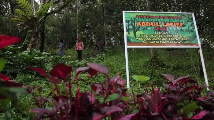 Pengalaman Mistis di Taman Hutan Raya