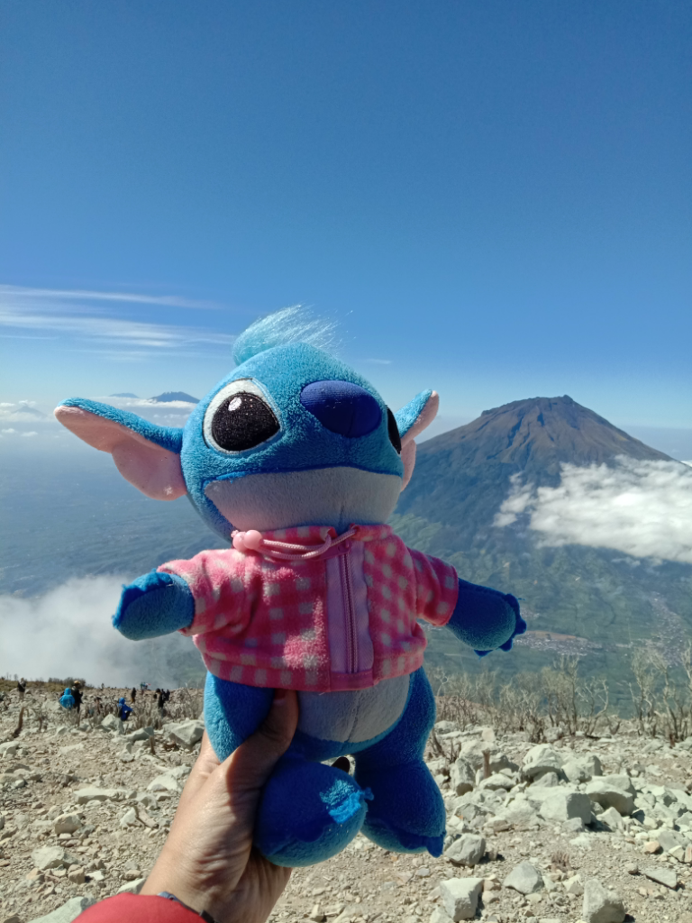 Cerah Nya Sindoro 3153 Mdpl π