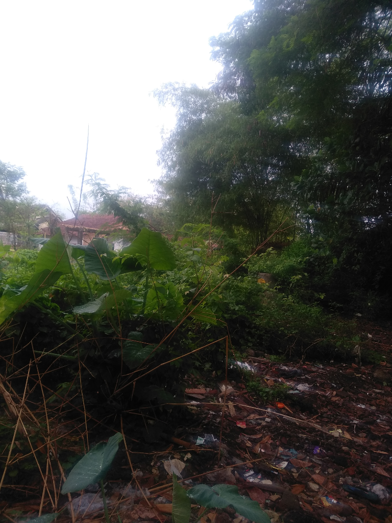 Gumuk Depan Rumah Yang Angker Menjadi Aarang Demit