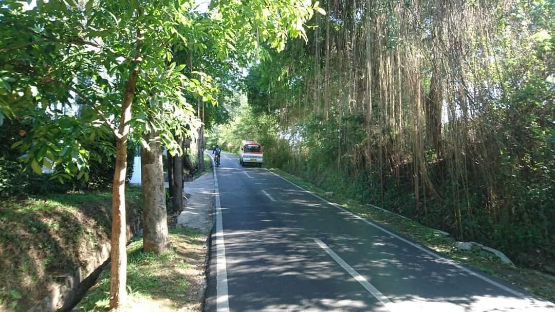 Hantu di Tepi Jalan