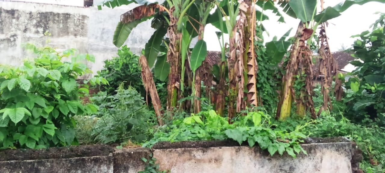 Rumahku Dulu Yang Sekarang Katanya Berhantu