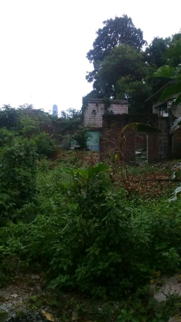 Bukan Rumah Kosong, 'Mereka' Hadir di Sekitar Kita!