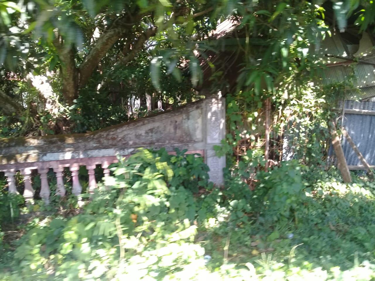 Rumah Kosong Tanpa Gangguan Dan Penampakan Tapi Memakan Korban
