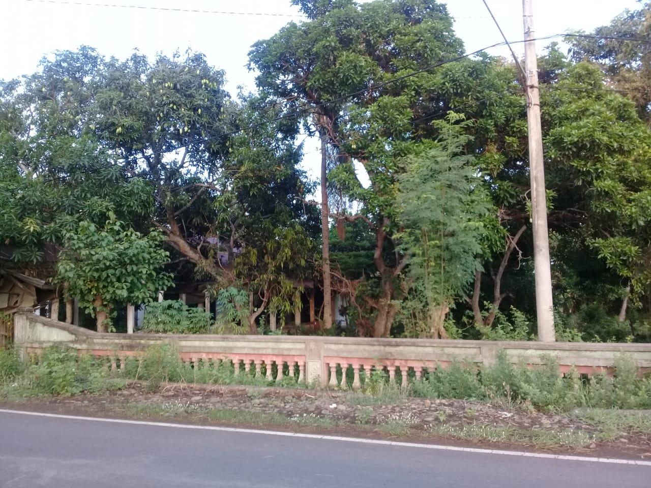 Rumah Kosong Tanpa Gangguan Dan Penampakan Tapi Memakan Korban