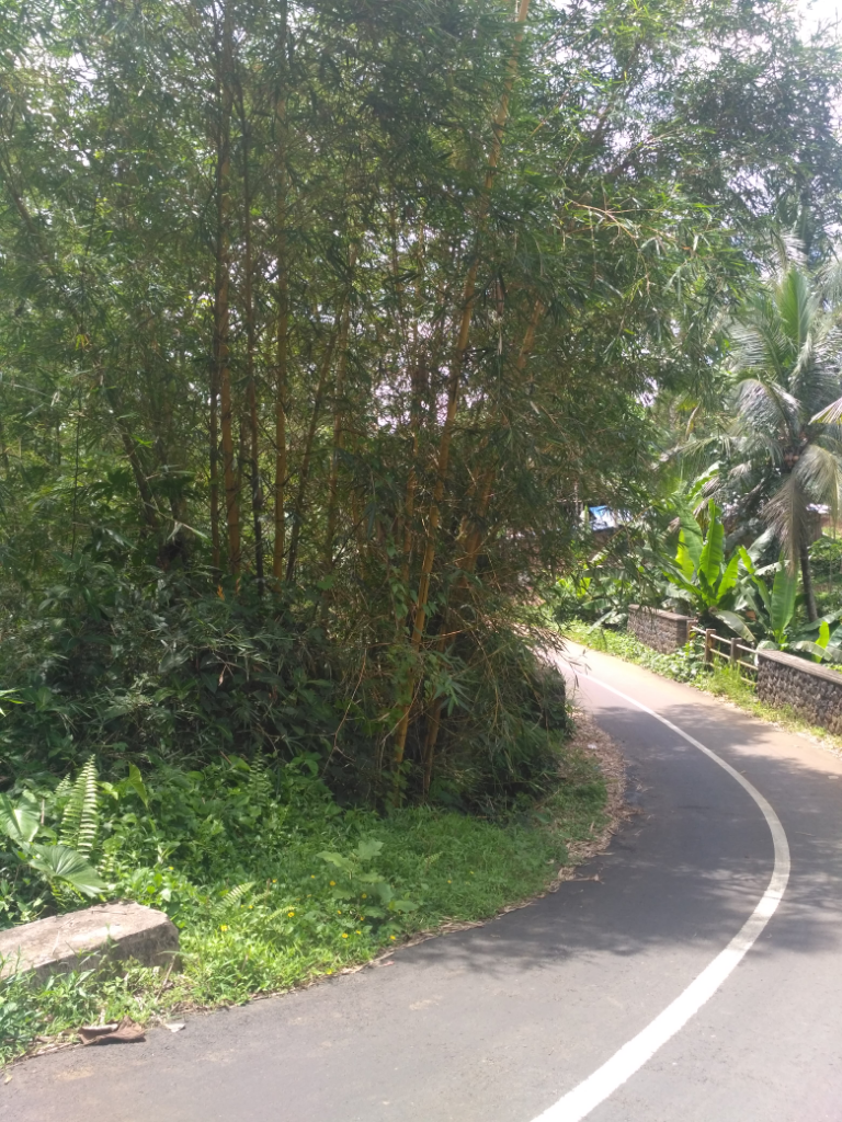 Tanjakan Makam dan Jembatan Haur Koening Ngeri Banget 