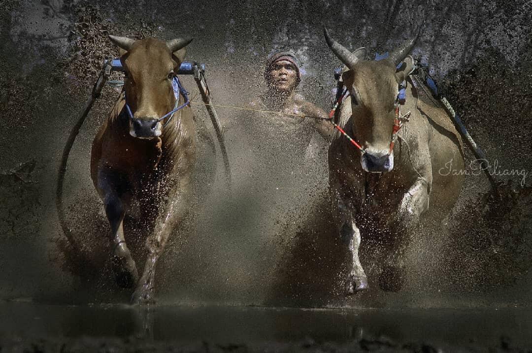 Olahraga Tradisional Minangkabau Yang Masih Ada Sampai Sekarang