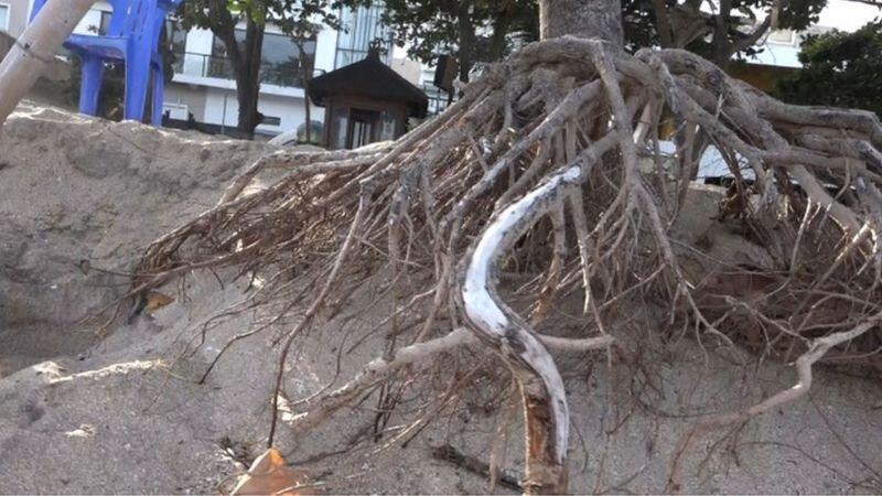 Bali Hadapi Abrasi Pantai Kuta Yang Parah dan Sangat Fatal, Mencapai Puluhan Meter