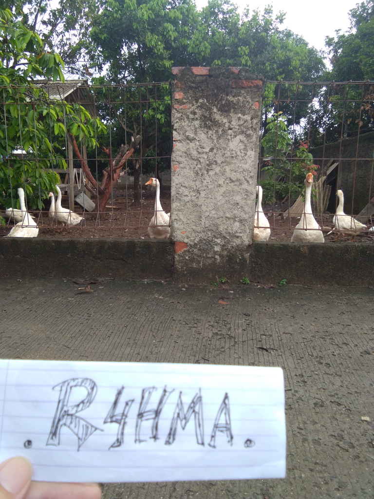 Penampakan Kuntilanak Di Kandang Soang