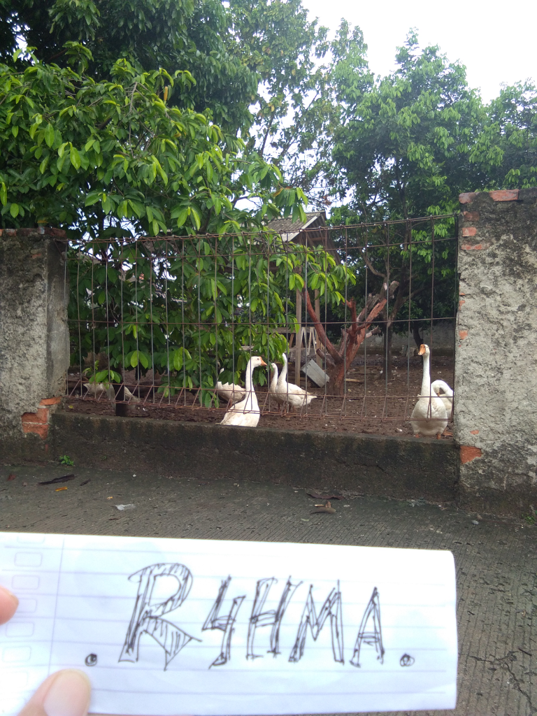 Penampakan Kuntilanak Di Kandang Soang
