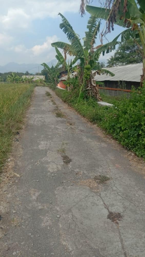 Suka Duka Belajar Daring di Masa Pandemi