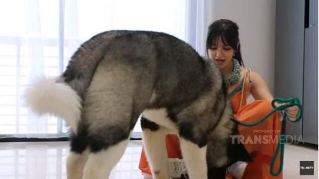 5 Artis Tuai Pro Kontra karena Pelihara Anjing