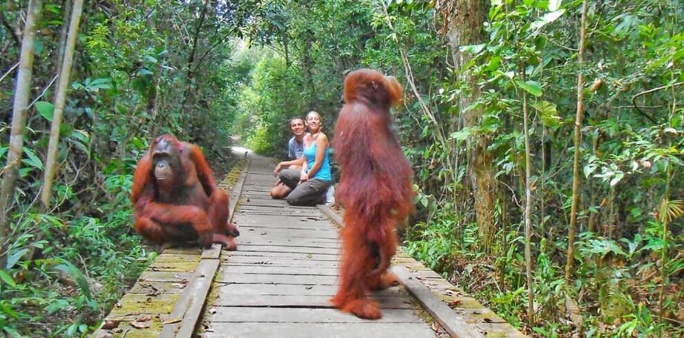 &#91;COC Reg. KalTeng&#93; Kumai dan Sampit - Gerbang Transportasi Laut Dari Kotawaringin