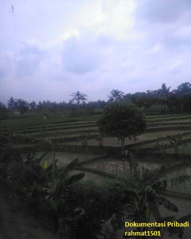 Pengalaman Mistis di Sawah yg Dulunya Pernah Menjadi Tempat Tragedi Pembantaian
