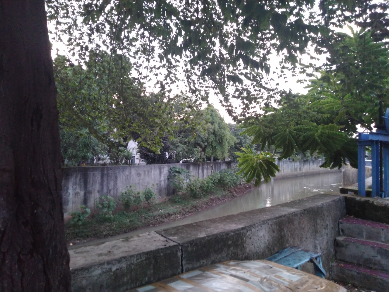 3 Anak Yang Hanyut Di Sungai Dan Mitos Buaya Putih