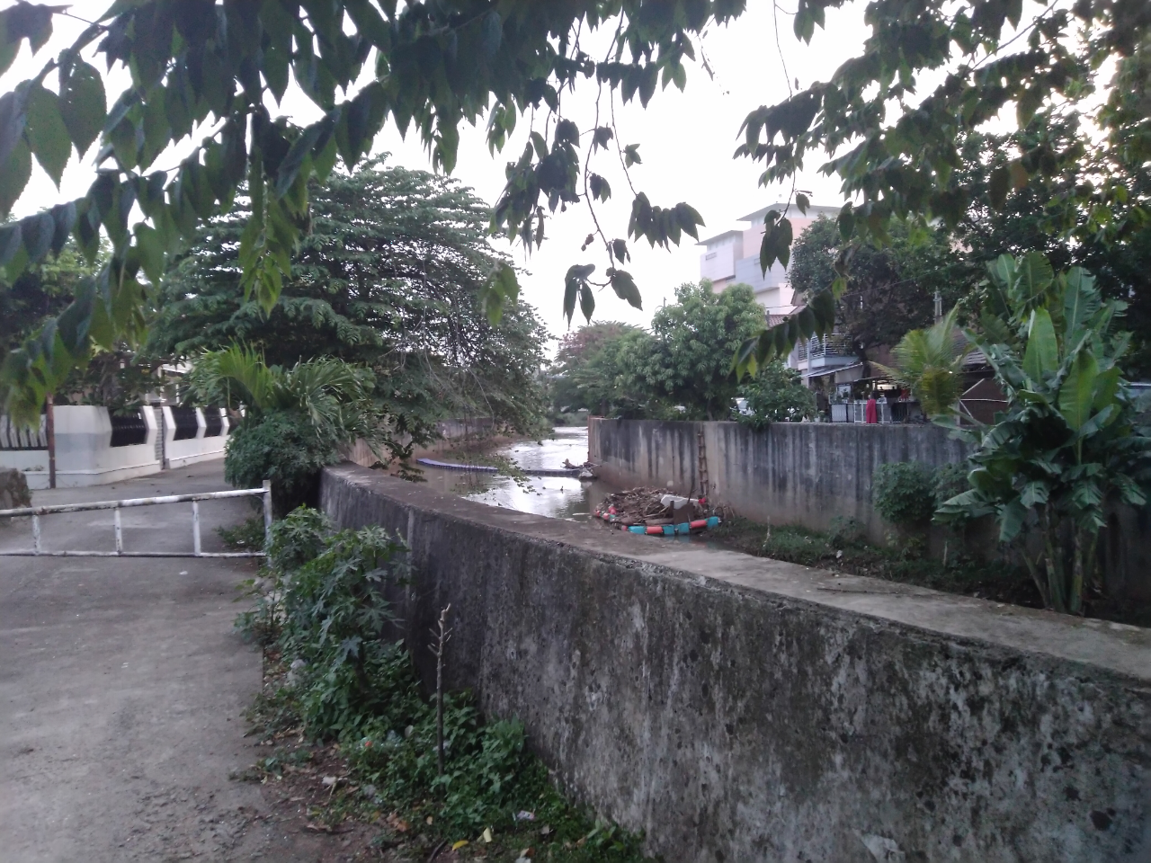 3 Anak Yang Hanyut Di Sungai Dan Mitos Buaya Putih