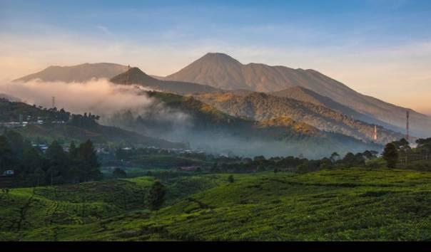 Naik Gunung Gede Pangrango Malah Foto Bugil, Masih Waras Toh Mas? 