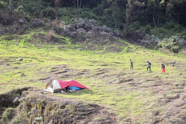 Naik Gunung Gede Pangrango Malah Foto Bugil, Masih Waras Toh Mas? 