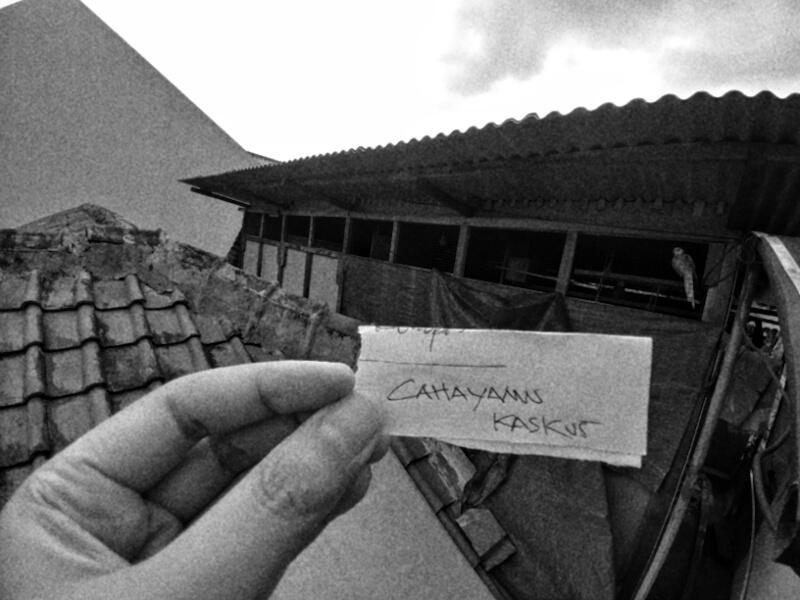 Sosok Bayangan Hitam Di Ruangan Sangkar Burung Yang Menghantui