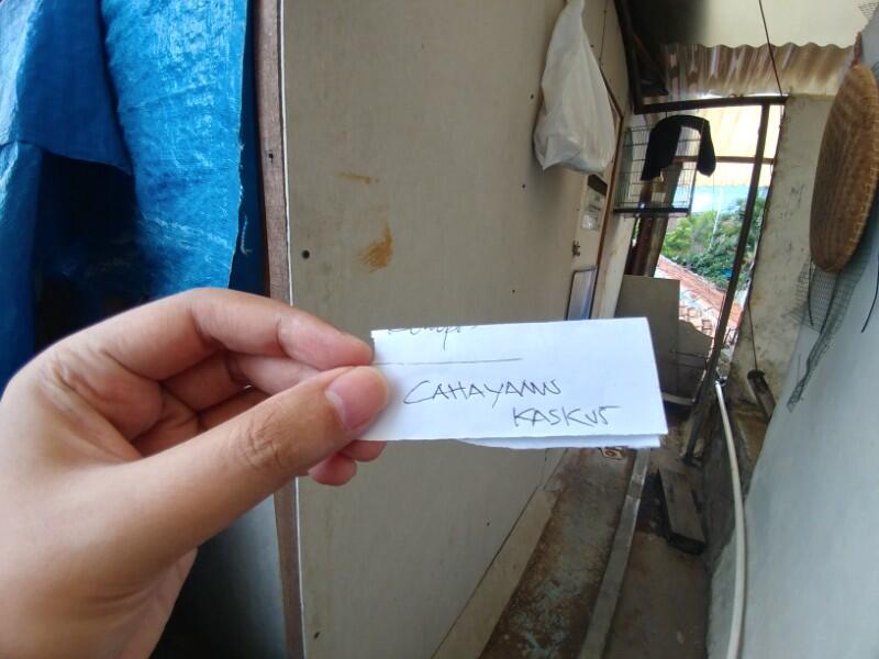 Sosok Bayangan Hitam Di Ruangan Sangkar Burung Yang Menghantui